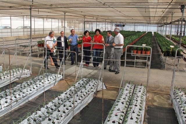 Educación y el Ayuntamiento de Puerto Lumbreras trabajan con Barberet & Blanc para implantar la FP Dual relacionada con el sector de la floricultura