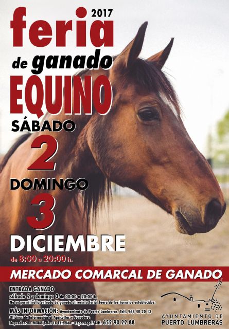 Puerto Lumbreras celebrará una Feria de Ganado Equino el 2 y 3 de diciembre