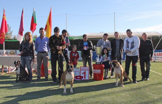 El IV Concurso Nacional Canino exhibe más de 400 ejemplares de más de 50 razas caninas en Puerto Lumbreras