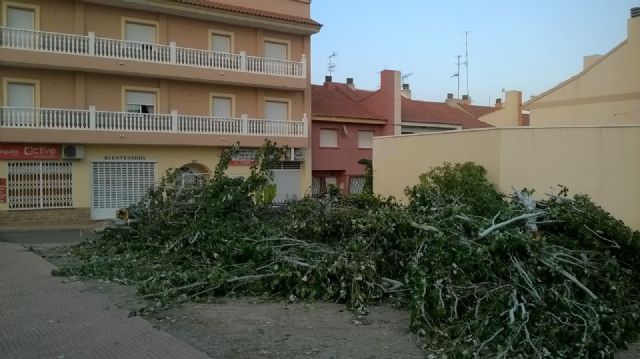 IU-verdes Puerto Lumbreras exige más transparencia sobre el uso de subvenciones de la CCAA