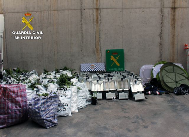 Desmantelan un  invernadero de marihuana en Puerto Lumbreras