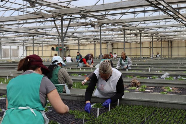 El número de parados en Puerto Lumbreras desciende hasta las 504 personas y alcanza la menor tasa de desempleo desde julio de 2007