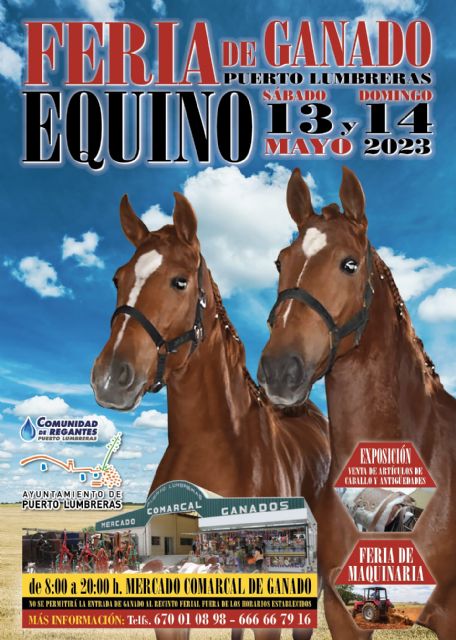 Puerto Lumbreras volverá a acoger una nueva edición de la tradicional Feria de Ganado Equino