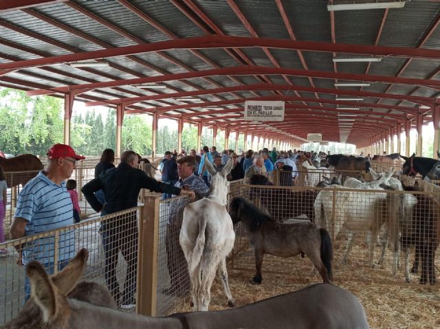 Puerto Lumbreras celebra la Feria de Ganado Equino