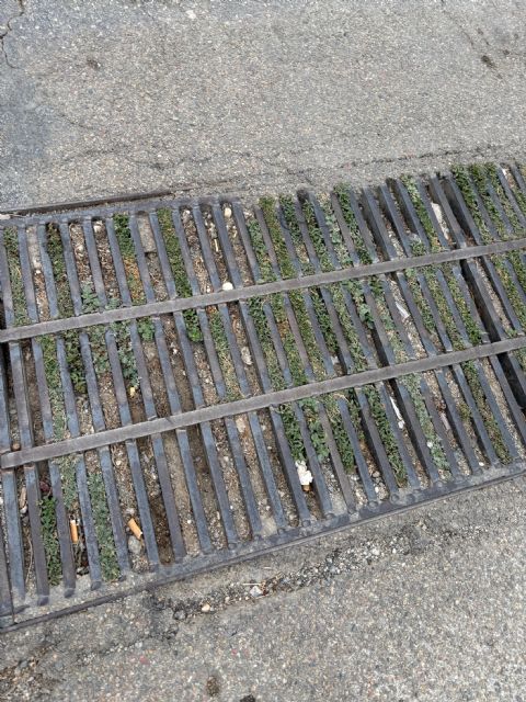 El PSOE urge al equipo de Gobierno de PP y VOX de Puerto Lumbreras a que lleven a cabo una limpieza urgente de los imbornales