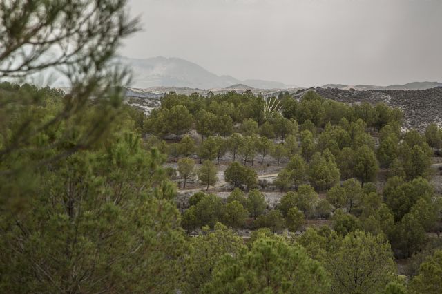 La Asociación para el Desarrollo Rural CAMPODER subvencionará tres proyectos en Puerto Lumbreras en los que se invertirán más de 100.000 euros