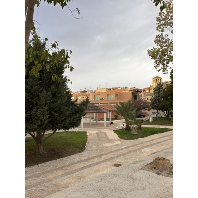 El PSOE lumbrerense exigirá al gobierno regional que reduzca los retrasos en las ayudas a la dependencia