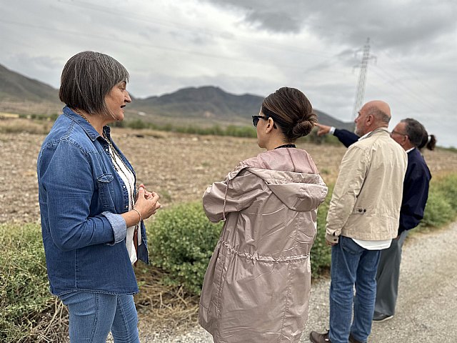 IU-verdes denuncia ante la comisión europea el cambio de uso del suelo de regadío modernizado con fondos FEDER para construir una macroplanta solar en Puerto Lumbreras