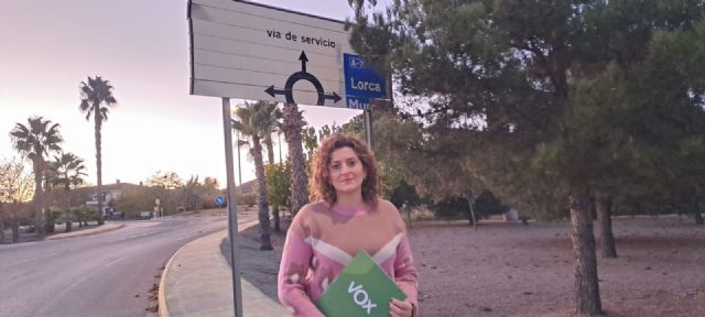 VOX solicitará la adecuación y mantenimiento de las rotondas que dan acceso al polígono industrial 'el Descanso', en el punto kilométrico de 648 de la autovía A7