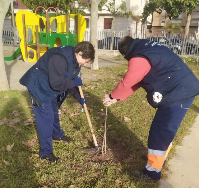 Puerto Lumbreras disfruta de más de medio millar de nuevas plantas en jardines y espacios verdes gracias al Centro de Conservación de Flora Silvestre de la Región