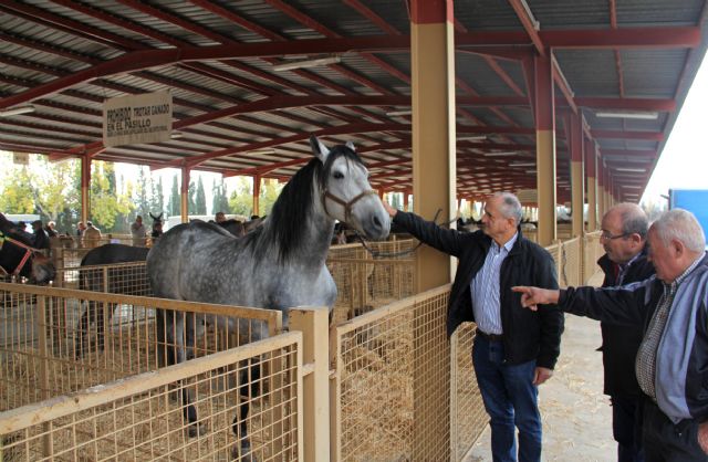 Inaugurada la Feria de Ganado Equino de Puerto Lumbreras 2016