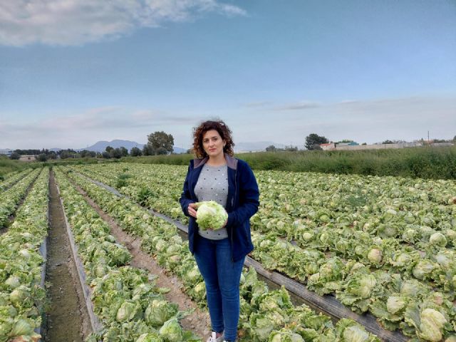 VOX Puerto Lumbreras exige medidas urgentes ante la plaga de pulgón que asfixia al campo del Guadalentín