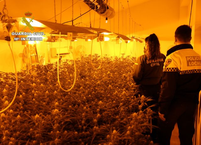 La Guardia Civil desmantela en Puerto Lumbreras una plantación indoor de marihuana