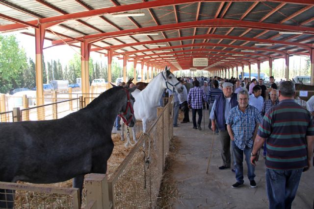 Puerto Lumbreras acogerá este fin de semana la tradicional Feria de Ganado Equino 2015