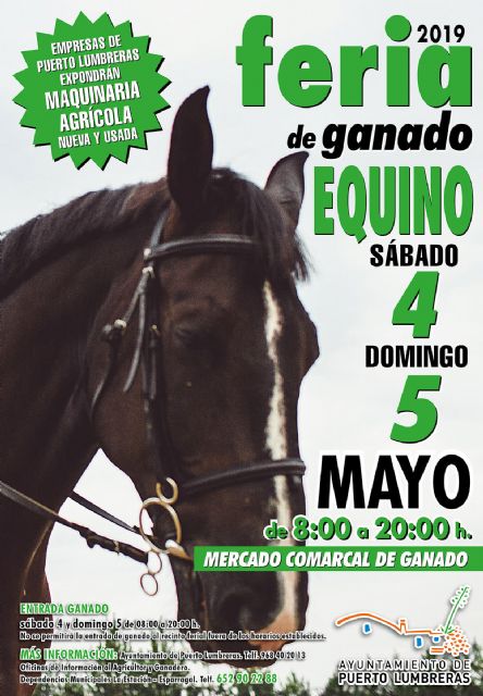 Vuelve la Feria de Ganado Equino a Puerto Lumbreras