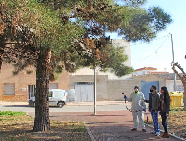 El Ayuntamiento de Puerto Lumbreras continúa con la campaña de prevención contra la 'procesionaria' en los pinos del municipio