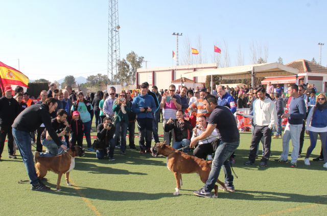 Puerto Lumbreras acogerá el VII Concurso Nacional Canino 'Ciudad de Puerto Lumbreras'