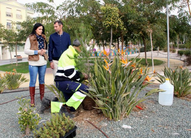 El Ayuntamiento de Puerto Lumbreras plantará cerca de 700 árboles y plantas forestales en parques y jardines del municipio