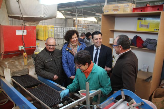 La alcaldesa y el director general del SEF visitan la empresa agrícola PlantiAgro que genera un centenar de empleos al año