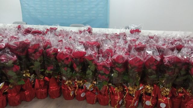 El Ayuntamiento reparte flores de pascua a 250 establecimientos para fomentar las compras y el consumo en Navidad