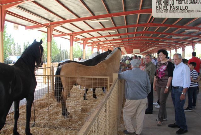 Puerto Lumbreras acogerá este fin de semana la  Feria de Ganado Equino