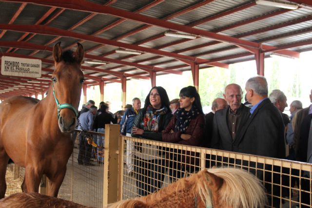 La Feria de Ganado Equino de Puerto Lumbreras abre sus puertas con eliminación de tasas para los ganaderos