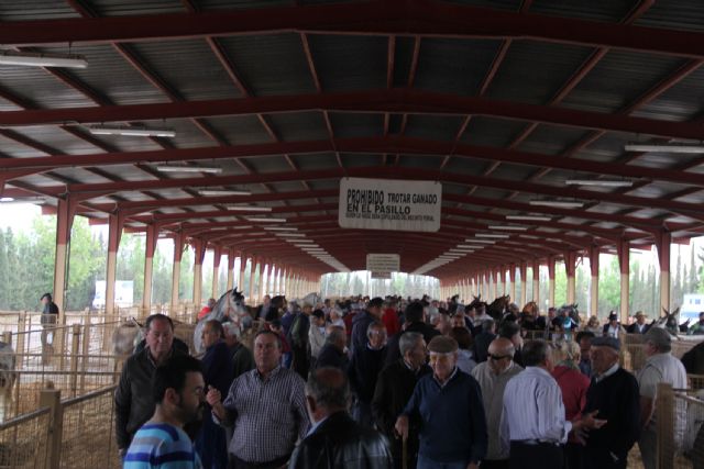 La Feria de Ganado Equino de Puerto Lumbreras reúne a más de 400 ejemplares de ganado